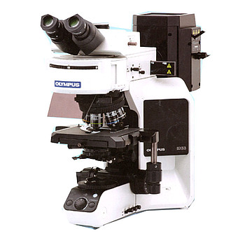 OLYMPUS奧林巴斯 生物顯微鏡 BX53三目