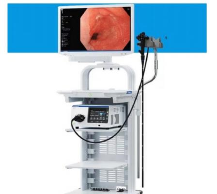 消化內(nèi)鏡實(shí)時(shí)輔助診斷圖像處理工作站
